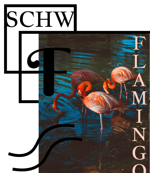 Schwarzer Flamingo Poesie Entstehung